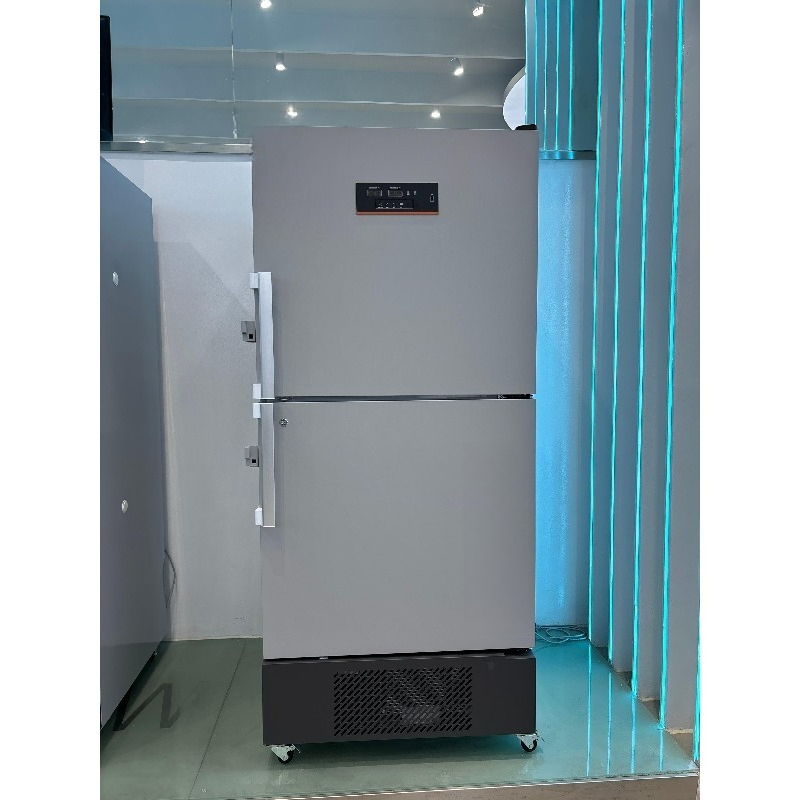 Vertical deep freezer - 25 deg - Medical Lab Degree reseña y precio