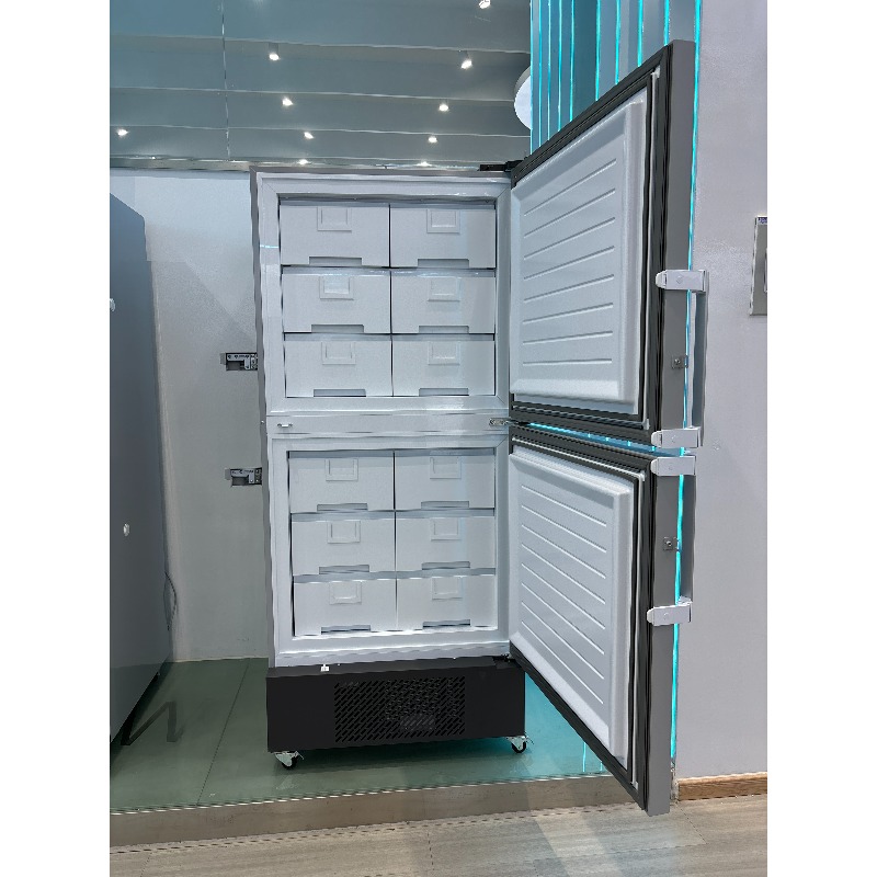 Vertical deep freezer - 25 deg - Medical Lab Degree reseña y precio