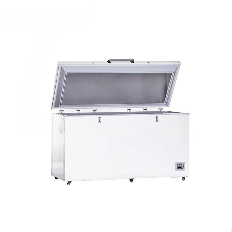 Freezer - 40 degrees Celsius l - Medical Lab Degree reseña y precio