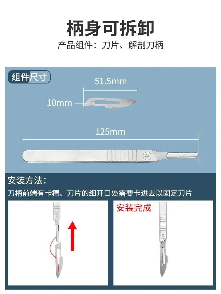 Stainless Steel Insect Dissect - Medical Lab And Science reseña y precio