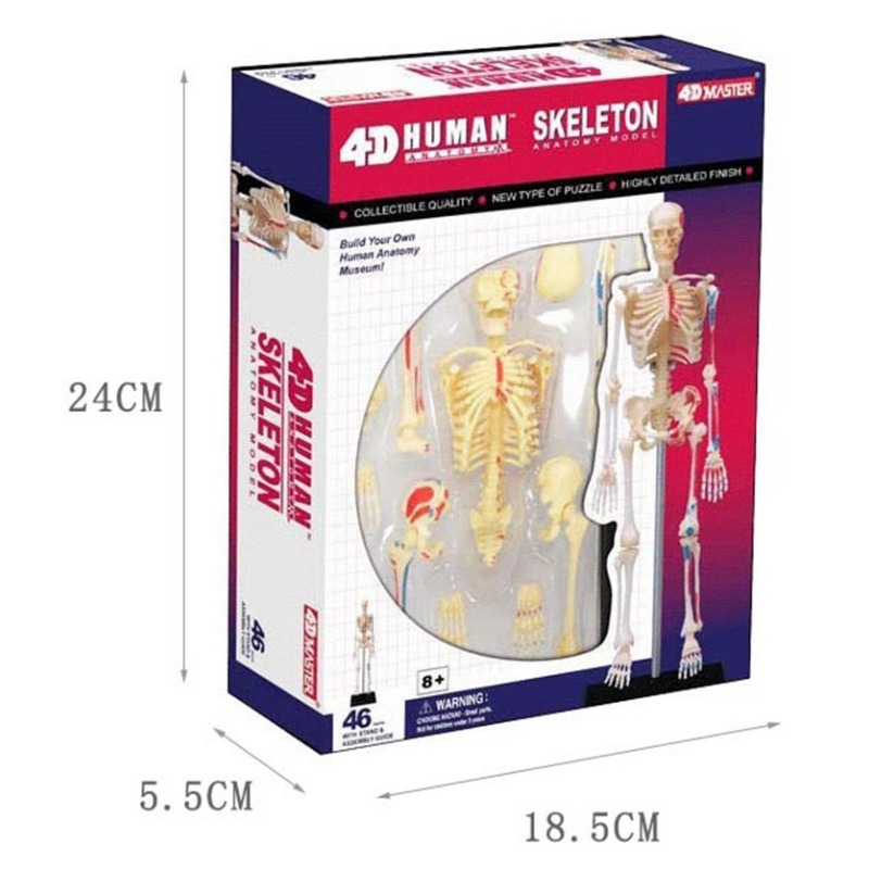 4D Master Human Skeleton Anato - Medical Lab And Science reseña y precio
